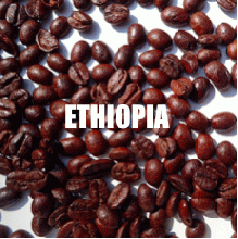 エチオピア ナチュラル